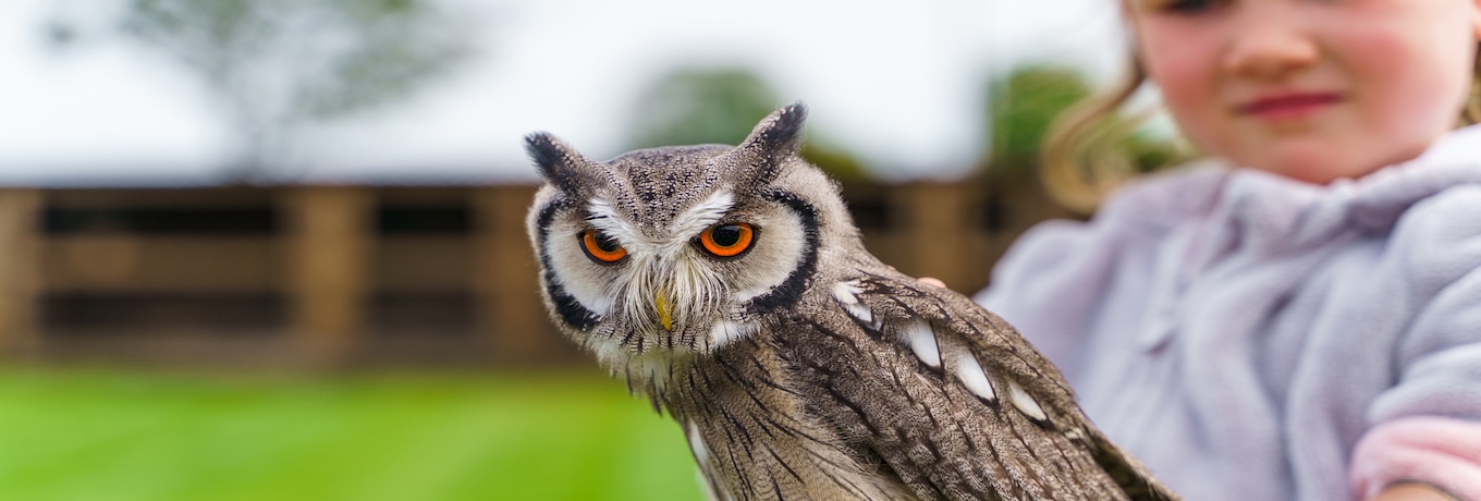 Zoo Animal Farms in Harrogate