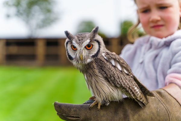 Zoo Animal Farms & Wildlife Parks in Harrogate